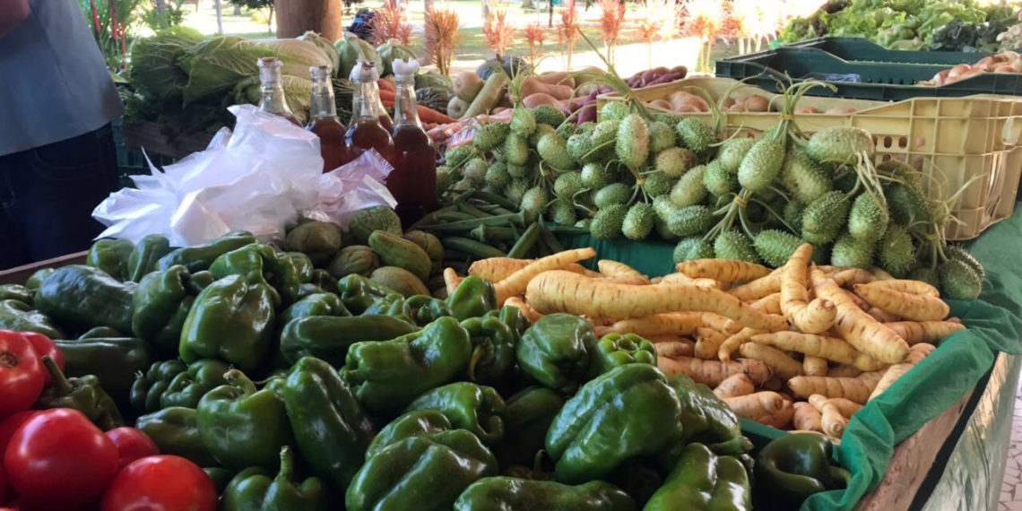 FEIRA ORGÂNICA NO PARQUE BOTÂNICO VALE