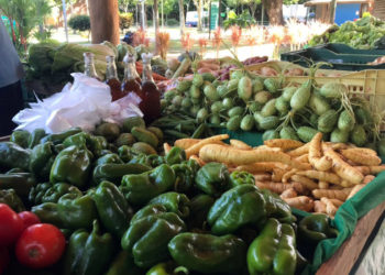 FEIRA ORGÂNICA NO PARQUE BOTÂNICO VALE